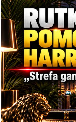 [VIDEO] Czy Rutkowski pomoże Harriganom? Kolejny sezon Strefy gangsterów już w SkyShowtime