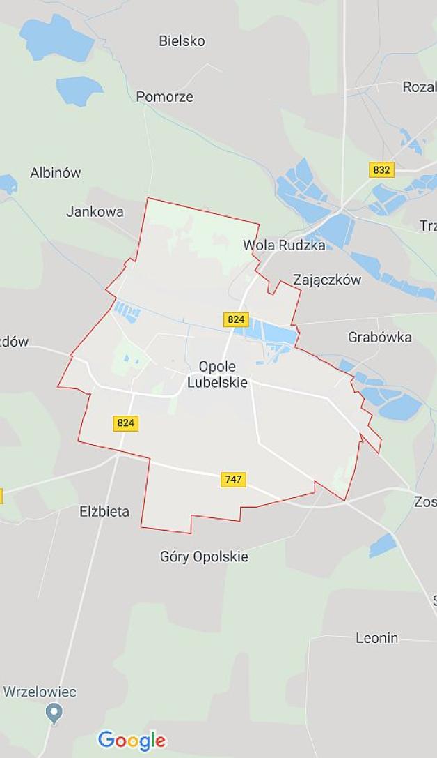 6-letnie dziecko zaatakowane i pogryzione przez 2 duże psy! Jest w szpitalu